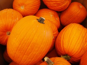 pumpkin-1563650